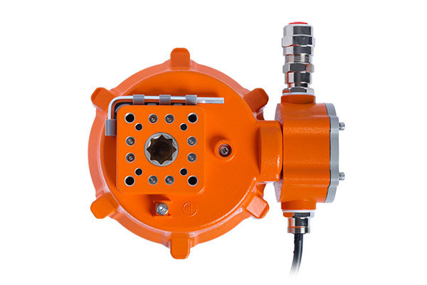 Explosion-proof electric actuator EXD80 with a gray and orange housing.
