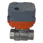 FVS V Series Electric Ball Valves